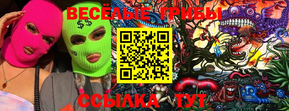 Ревда  где можно купить наркотик  Вход с VPN  Галлюциногенные грибы Cubensis  Псилоцибиновые грибы Cubensis 
