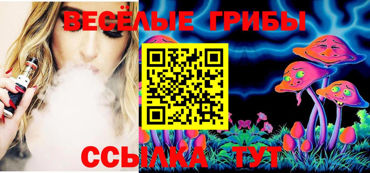Псилоцибиновые грибы MAGIC MUSHROOMS Ревда